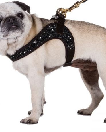 I Love My Dog - Harnas Glitter Fashion