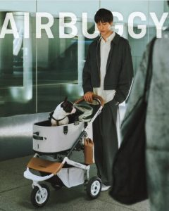 AirBuggy vs InnoPet: Welke hondenbuggy kies je het best in 2026? - Woefwinkel - Luxueuze merken en artikelen voor jouw hond