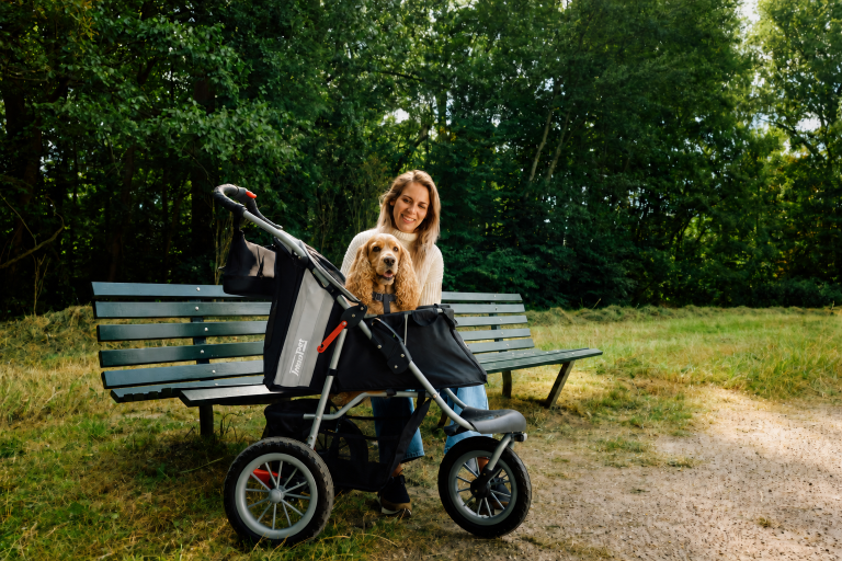 Cocker Spaniël veilig in een InnoPet hondenbuggy in het park
