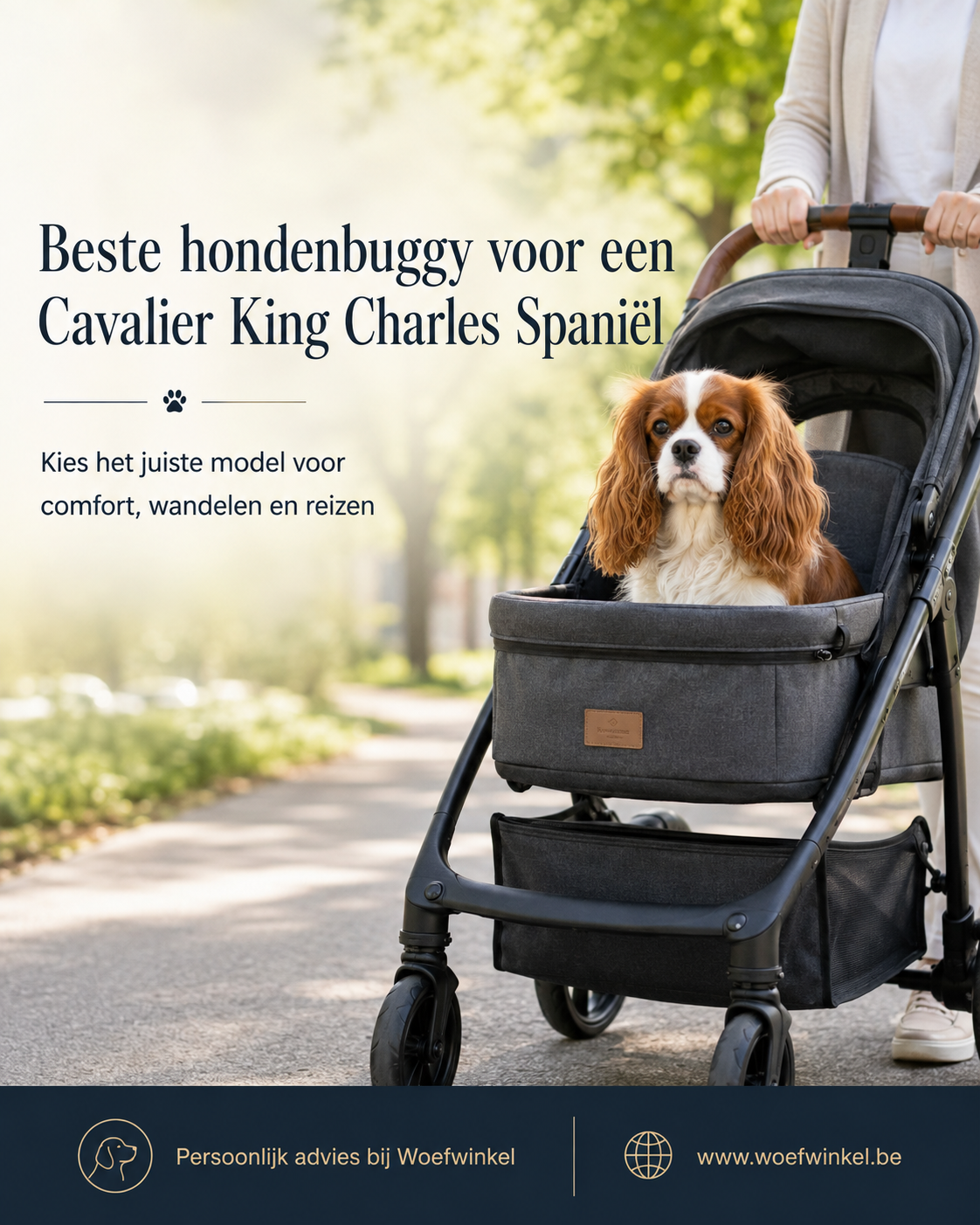 Beste hondenbuggy voor een Cavalier King Charles Spaniël: onze beste keuzes - Woefwinkel - Luxueuze merken en artikelen voor jouw hond