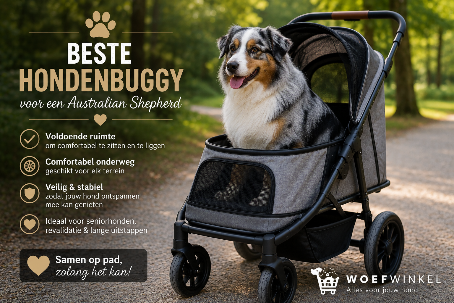 Australian Shepherd in hondenbuggy – beste hondenbuggy voor een Australian Shepherd