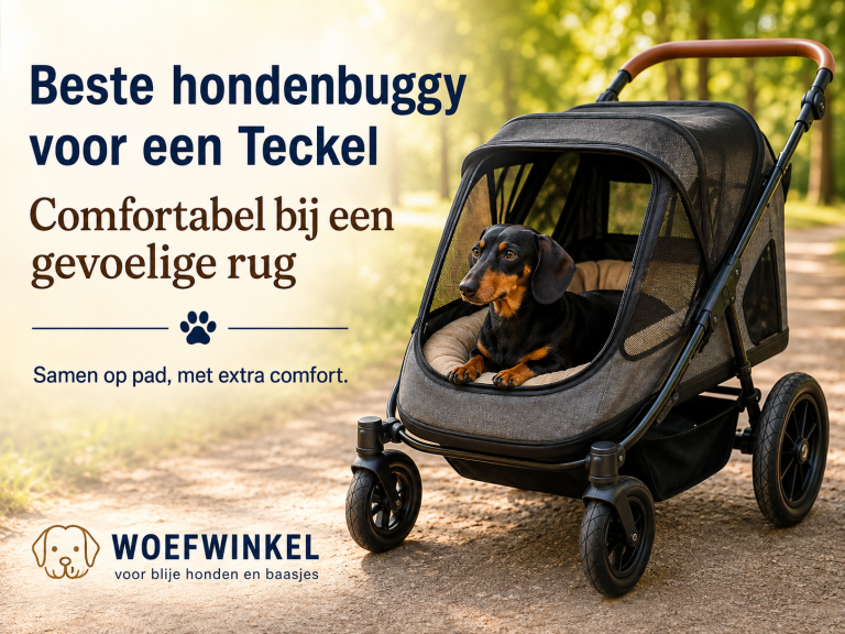 Beste hondenbuggy voor een Teckel: comfortabel bij een gevoelige rug