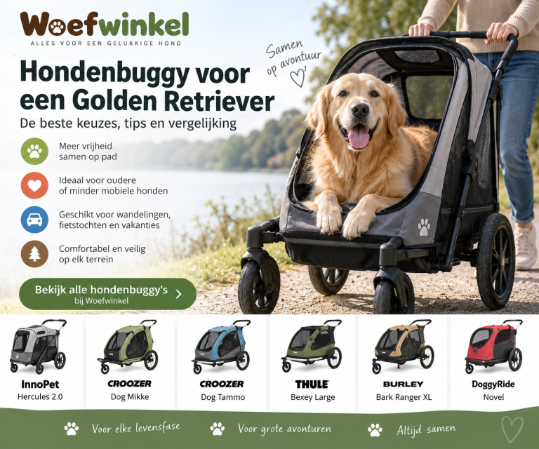 Golden Retriever zit comfortabel in een ruime hondenbuggy tijdens een wandeling langs het water. Op de afbeelding staan de titel “Hondenbuggy voor een Golden Retriever”, verschillende voordelen van een hondenbuggy en enkele aanbevolen modellen van InnoPet, Croozer, Thule, Burley en DoggyRide.