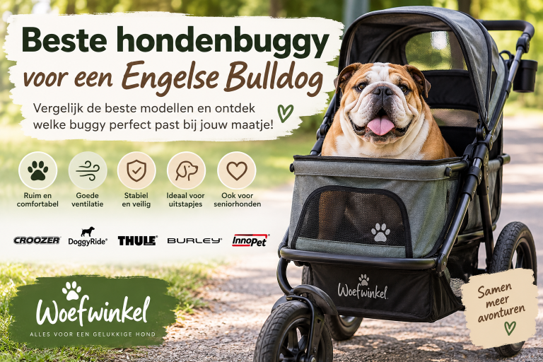 Engelse Bulldog in een hondenbuggy – beste hondenbuggy voor een Engelse Bulldog bij Woefwinkel