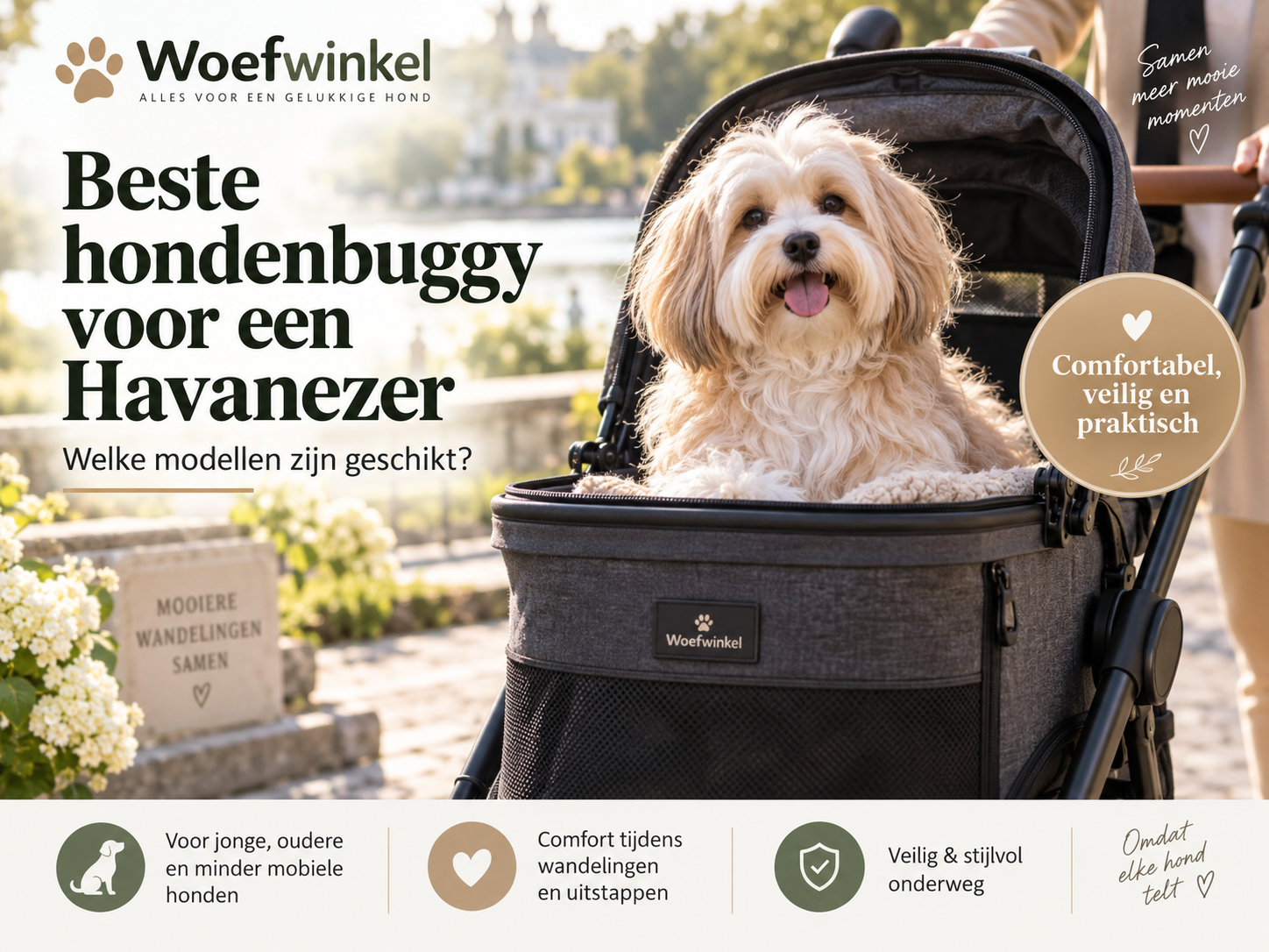 Havanezer in een comfortabele hondenbuggy tijdens een wandeling – beste hondenbuggy voor een Havanezer bij Woefwinkel.